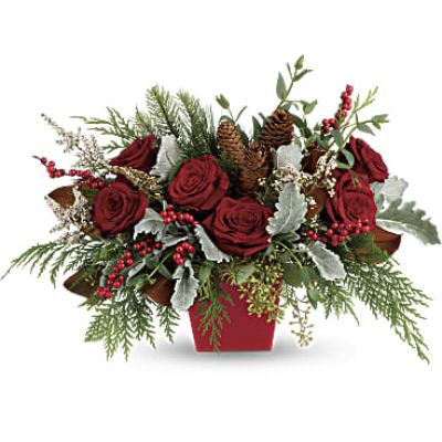 Deck the halls, and table, with this artisanal mix of winter greens, berries and roses, artfully arranged in a tapered red cube.
 

This stunning arrangement features red roses, white calcynia, dusty miller, flat cedar, white pine, noble fir, magnolia leaves, seeded eucalyptus, parvifolia eucalyptus, red berries and pinecones.
Delivered in a red tapered cube.