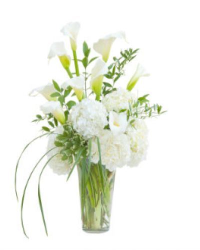 <p>Wow them with this elegant vase featuring calla lilies, hydrangea, and premium foliage.</p>