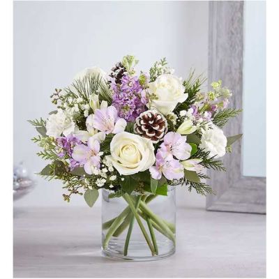 We’ve captured the peaceful beauty of winter in our lovely bouquet. A new seasonal version of our best seller, it’s loosely gathered with soothing lavender & white blooms, cascading greenery all around and pinecone accents for a rustic touch. A truly wonderful way to express your sentiments this time of year.
<ul>
<li>All-around arrangement with white roses and carnations; lavender Peruvian lilies (alstroemeria) and stock; accented with baby’s breath, seeded eucalyptus, pinecone picks and assorted Christmas greenery</li>
<li>Artistically designed a clear glass cylinder vase</li>
<li>Large arrangement measures approximately 15"H x 13"W</li>
<li>Medium arrangement measures approximately 13"H x 12"W</li>
<li>Small arrangement measures approximately 12"H x 9"W</li>
<li>Our florists select the freshest flowers available, so colors, varieties and container may vary due to local availability</li>
<li>To ensure lasting beauty, Peruvian lilies may arrive in bud form and will fully bloom over the next few days</li>
</ul>