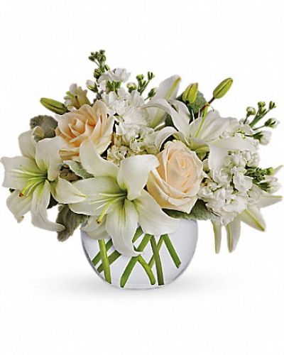 <div class="m-pdp-tabs-description">
<div id="mark-1" class="m-pdp-tabs-marketing-description">Like a vacation for the senses, this lovely bouquet delivers an oasis of beauty and elegance. Soothing, serene and very special.</div>
</div>
<p id="arrngDescp">Crème roses, white asiatic lilies and stock stem are incredibly arranged in a bubble vase. When it comes to bouquets, this is definitely the right way to do white.</p>