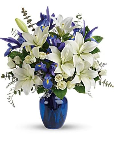 <div class="m-pdp-tabs-description">
<div id="mark-2" class="m-pdp-tabs-marketing-description">As open and bright as a winter's sky, this exquisite mix of white and blue blossoms would make a stunning birthday gift, or a superb Hanukah present for a favorite friend or family member. An eye-catching selection.</div>
</div>
<p id="arrngDescp">White Asiatic lilies, white spray roses and dark blue iris - accented with greenery - are delivered in a glass vase.</p>