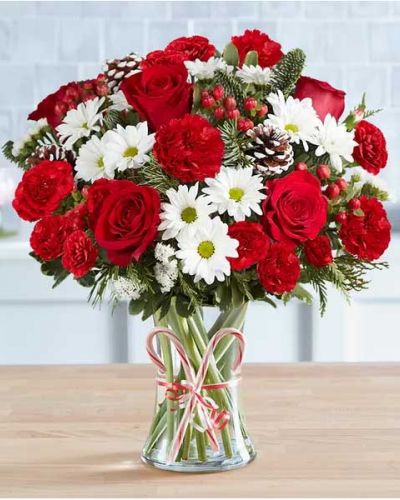 <p>Bring joy to their world in merry, minty style. Our charming holiday bouquet is gathered with a swirl of red and white blooms, fragrant evergreens and snowy-tipped pinecones inside a clear glass vase. For a sweet finishing touch, we’ve added a pair of candy canes tied with ribbon. It’s a festive surprise sure to get them into the spirit of the season.</p>