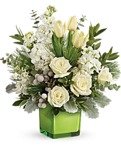 A stylish pop of winter style, this snow-white bouquet in a fresh green cube dresses up any occasion!
White roses, tulips and stock with silver brunia are arranged with dusty miller, spiral eucalyptus, parvifolia eucalyptus, and white pine.